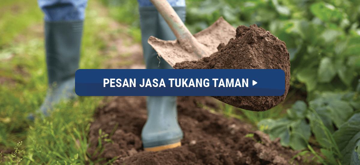 jasa pembuatan taman