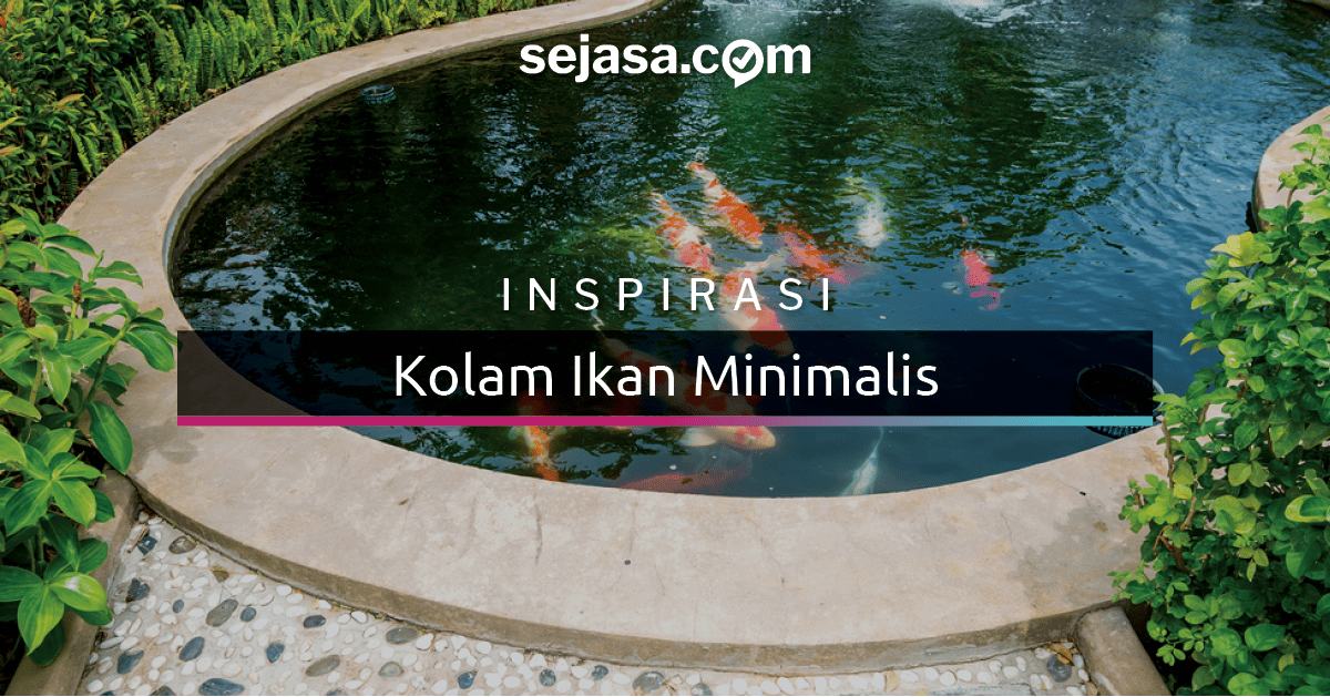 20 Model Kolam Ikan  Minimalis Ini Jadikan Rumah Lebih Asri 