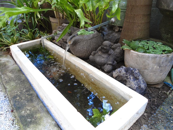 20 Model Kolam Ikan Minimalis Ini Jadikan Rumah Lebih Asri - Sejasa.com