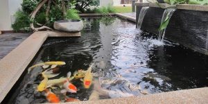 20 model kolam ikan minimalis ini jadikan rumah lebih asri