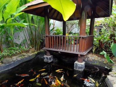20 Model Kolam Ikan Minimalis Ini Jadikan Rumah Lebih Asri - Sejasa.com
