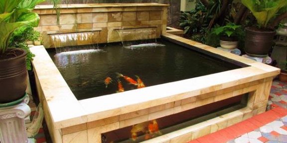 20 Model Kolam Ikan Minimalis Ini Jadikan Rumah Lebih Asri - Sejasa.com