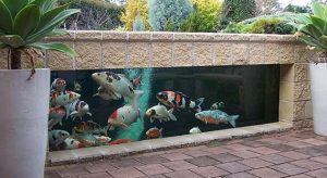 20 Model Kolam Ikan Minimalis Ini Jadikan Rumah Lebih Asri
