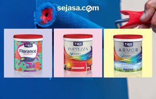 varian taka paints