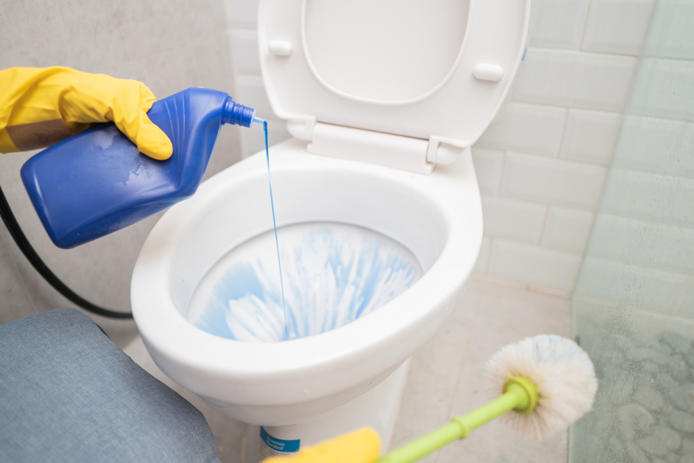 pembersihan toilet kamar mandi menggunakan cairan pembersih dan sikatnya