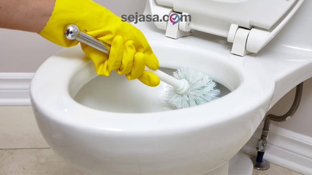 pembersih kloset