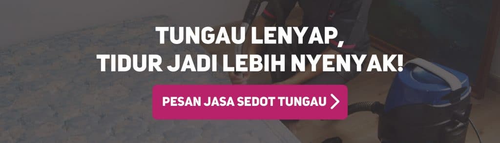 harga jasa sedot tungau