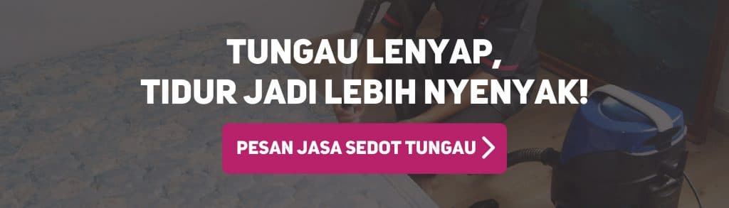 jasa sedot tungau dapat dipesan untuk kebutuhan pembersihan kasur dari tungau dan bakteri